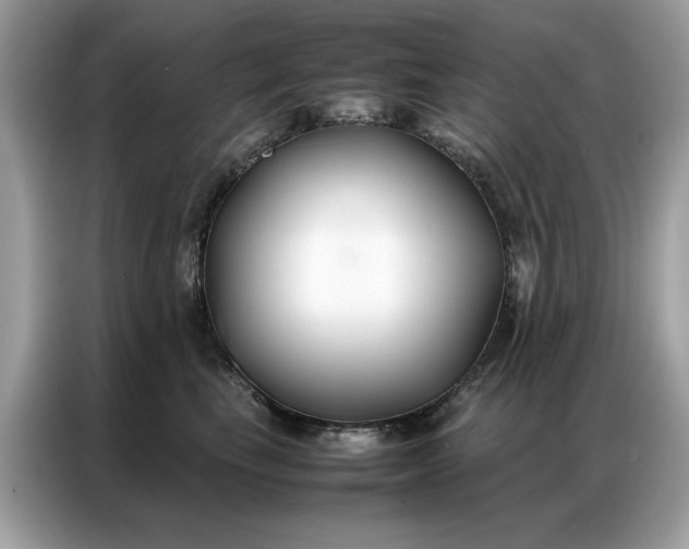 X0000086790665200704271831