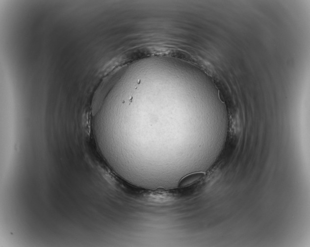 X0000086790666200704271831