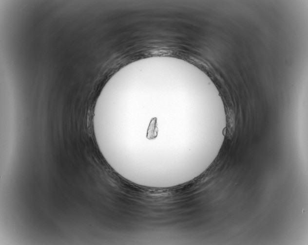 X0000086790667200704271831