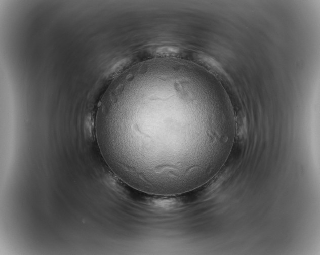 X0000086790669200704271831