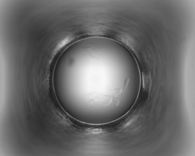 X0000086790675200704271831