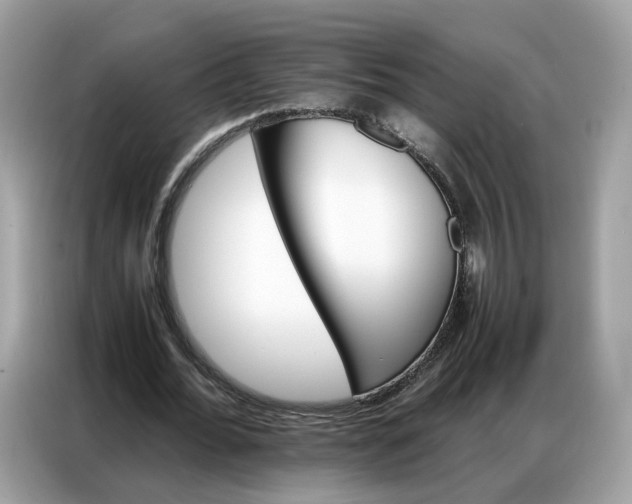 X0000086790676200704271831