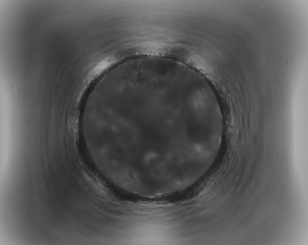 X0000086790679200704271831