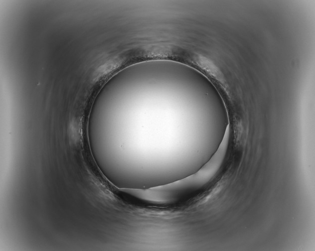 X0000086790681200704271831