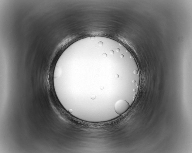 X0000086790682200704271831