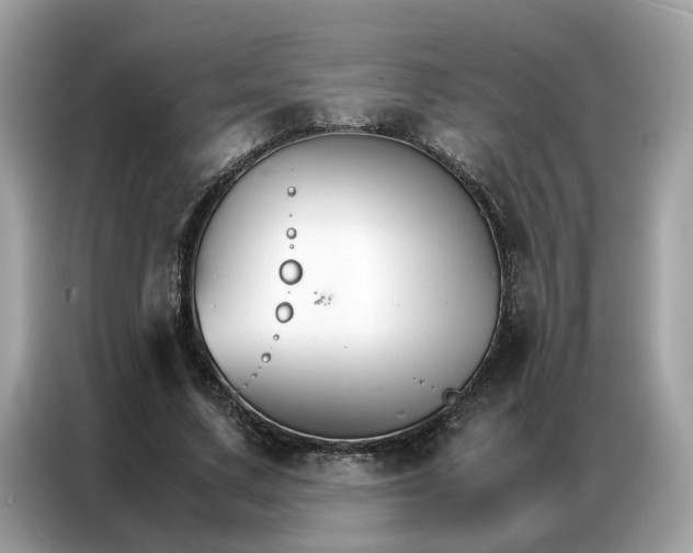 X0000086790683200704271831