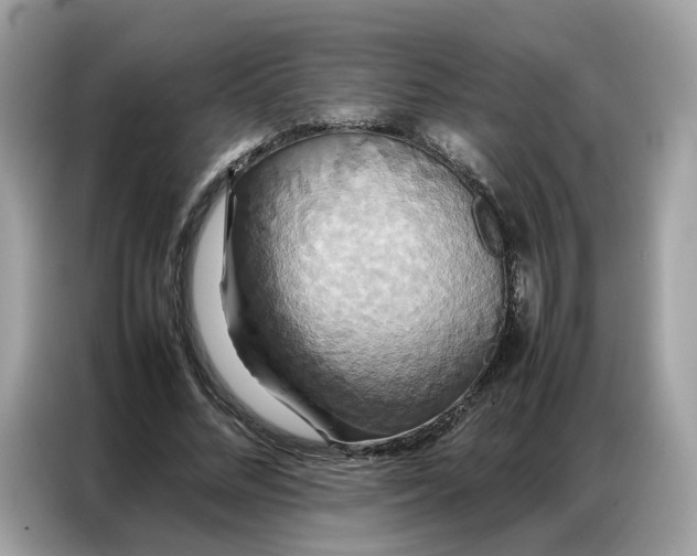 X0000086790684200704271831