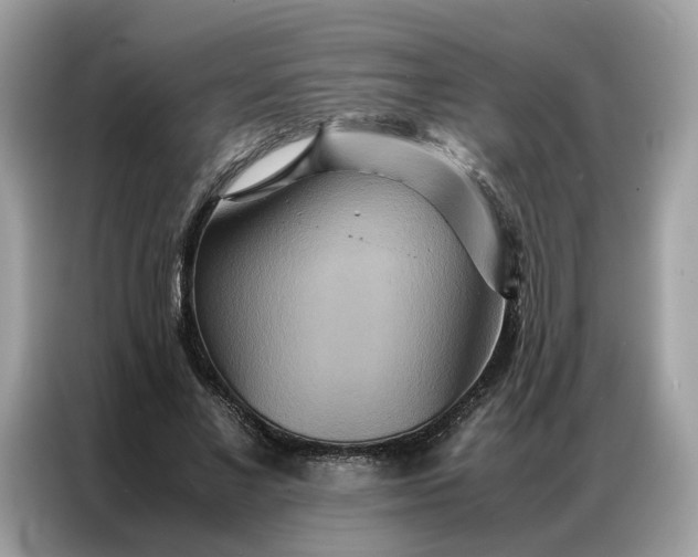 X0000086790685200704271831