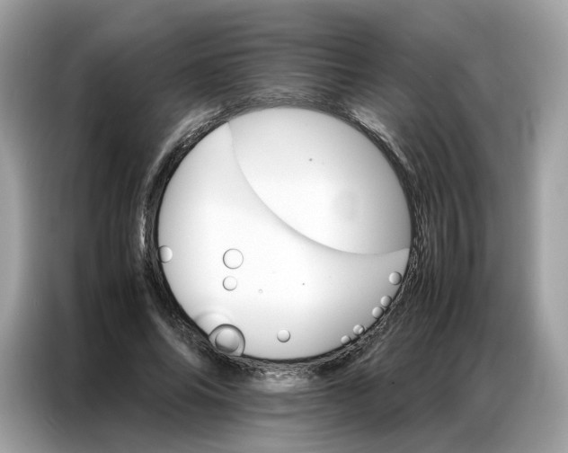 X0000086790686200704271831