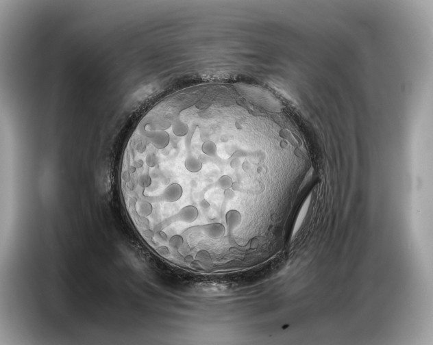 X0000086790687200704271831