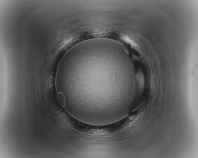 X0000086790689200704271830