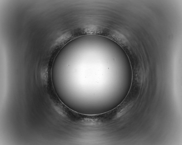 X0000086790690200704271830