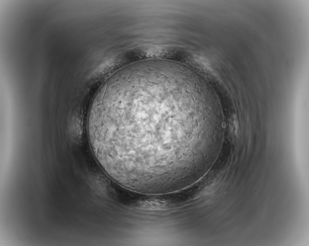 X0000086790691200704271830