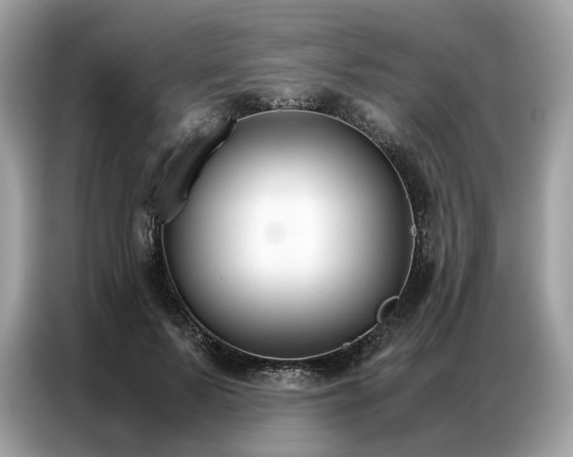 X0000086790695200704271830