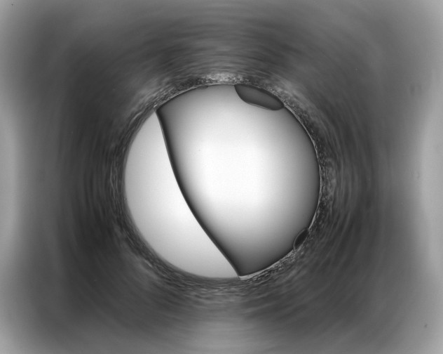 X0000086790696200704271830