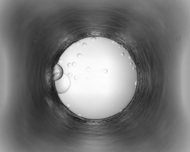 X0000086790698200704271830