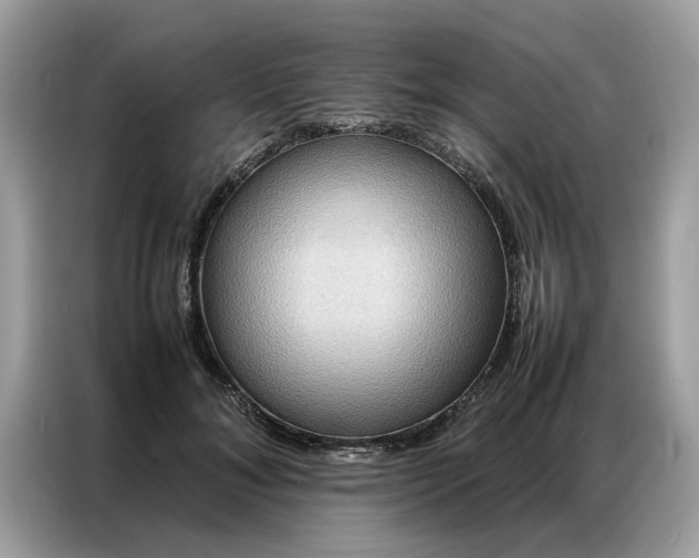 X0000086790700200704271830