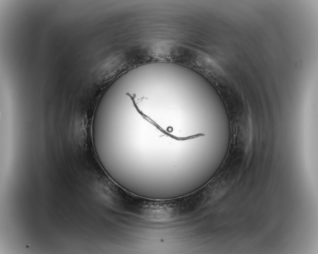 X0000086790702200704271830