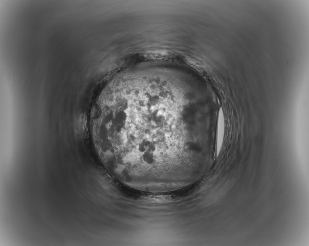 X0000086790711200704271830