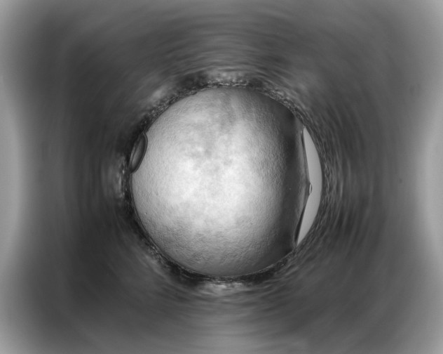 X0000086790712200704271830