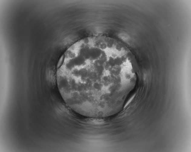 X0000086790719200704271830