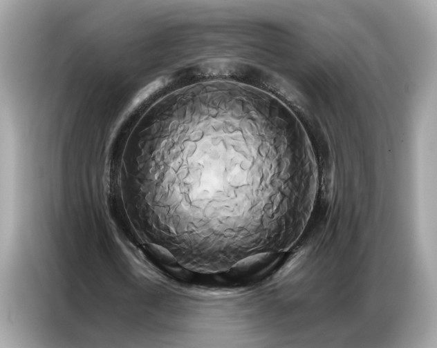 X0000086790722200704271829