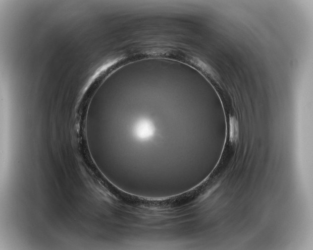 X0000086790723200704271829