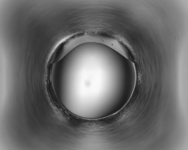 X0000086790724200704271830