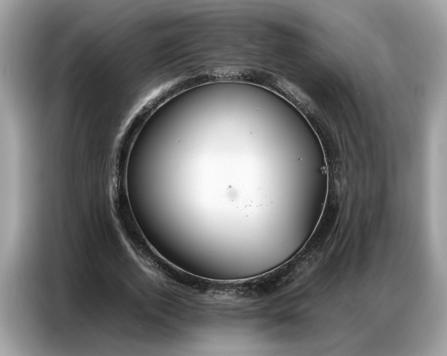 X0000086790728200704271830