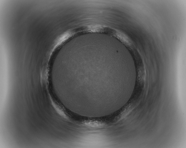 X0000086790730200704271830