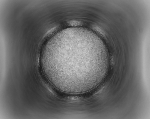 X0000086790733200704271830