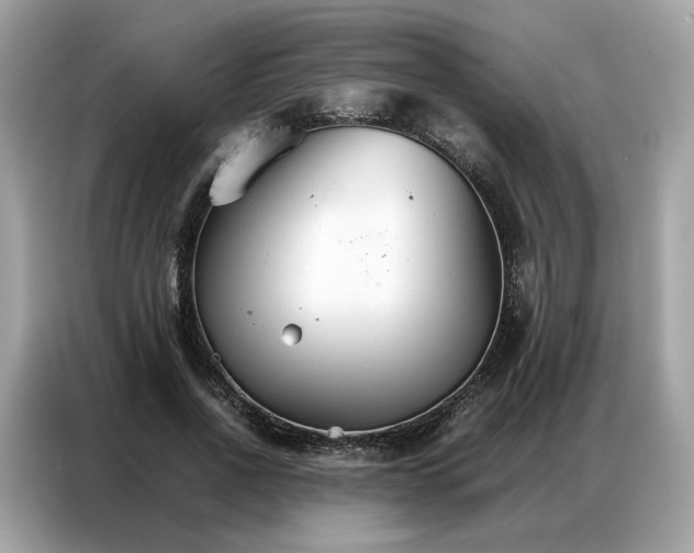 X0000086790734200704271830