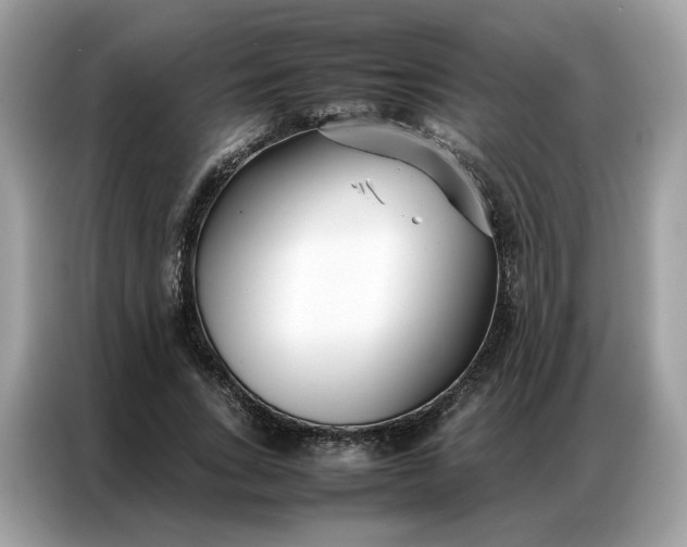 X0000086790735200704271830