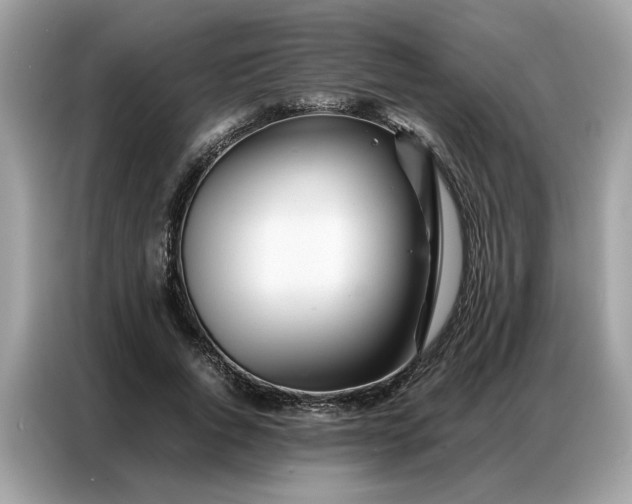 X0000086790736200704271830