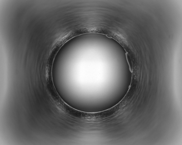 X0000086790740200704271830