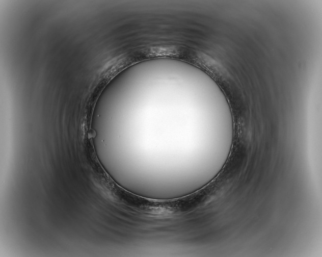 X0000086790741200704271830