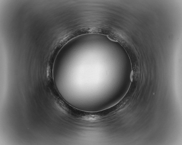 X0000086790748200704271830