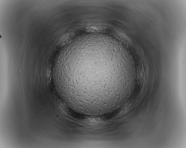 X0000086790749200704271830