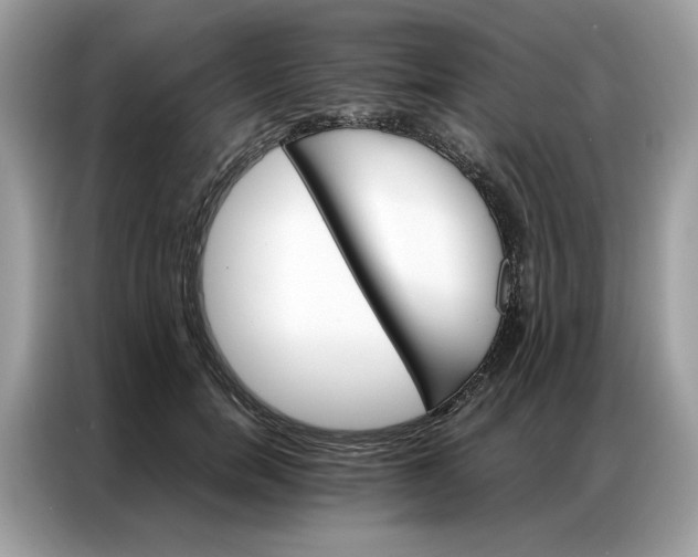 X0000086790750200704271830