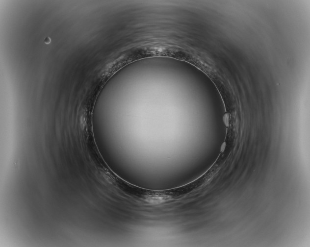 X0000086790754200704271830