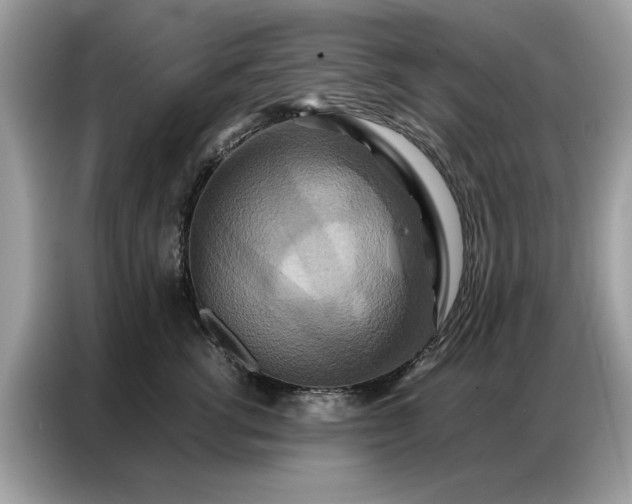 X0000086790762200704271830