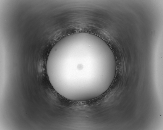 X0000086790770200704271829
