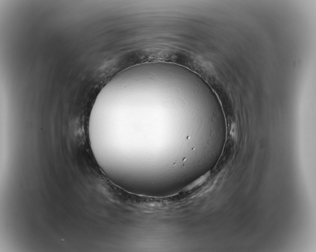 X0000086790771200704271829