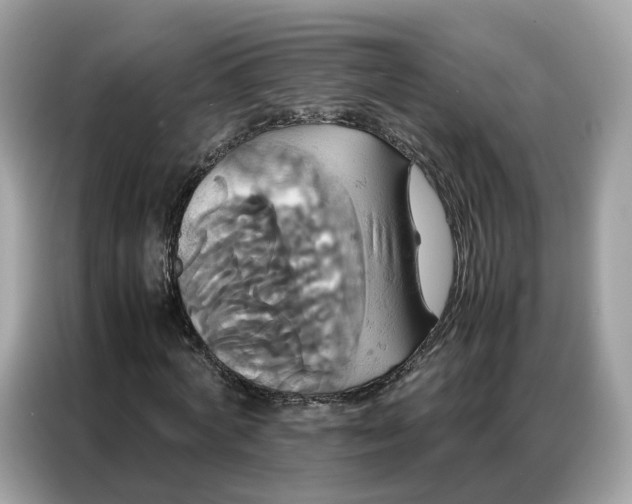 X0000086790772200704271829