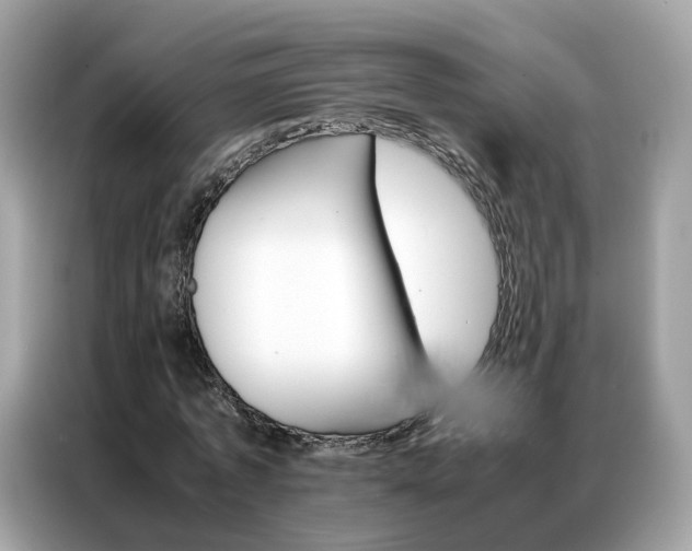 X0000086790773200704271829