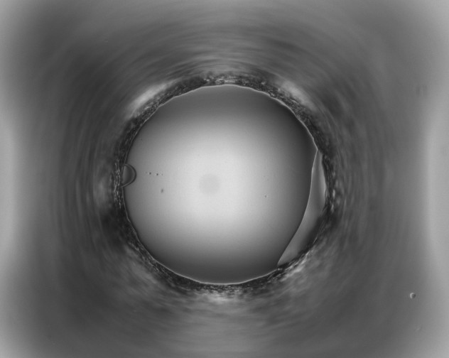 X0000086790775200704271829