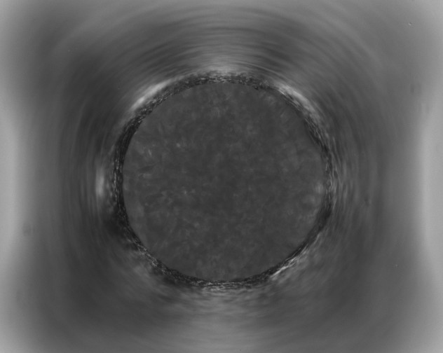 X0000086790776200704271829