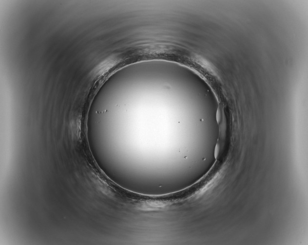 X0000086790777200704271829
