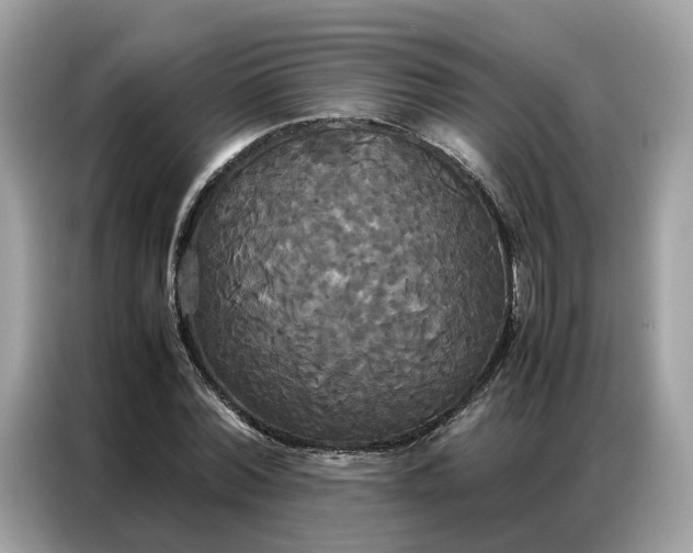 X0000086790780200704271829