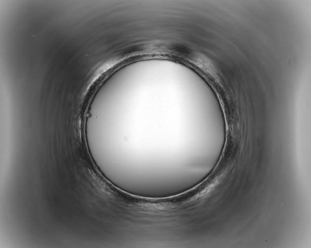 X0000086790781200704271829